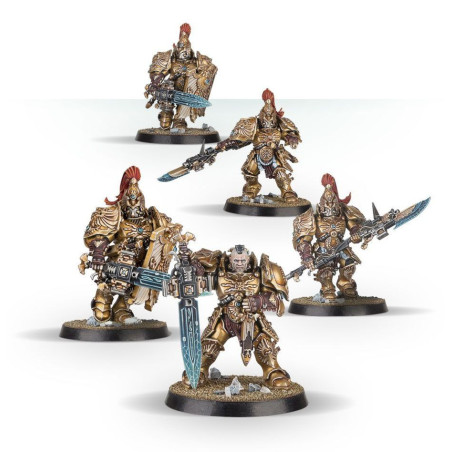 Custodian Guard Squad / Vexilus Praetor / Shield-Captain