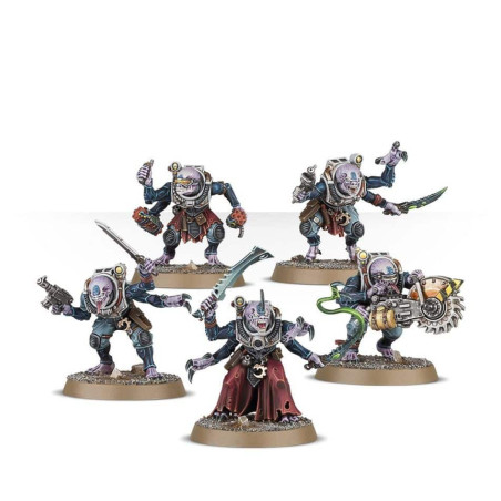 Hybrides Acolytes / Hybrides Métamorphes