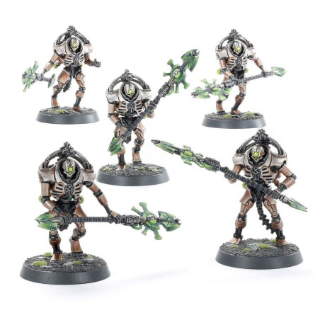 Triarch Praetorians / Lychguard
