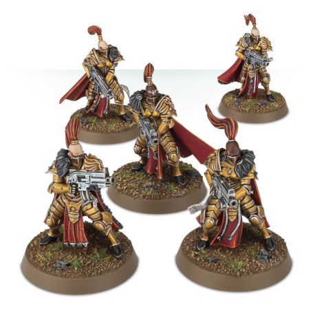 Prosecutor Squad / Witchseeker Squad / Vigilator Squad