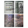 Codex Supplement : Dark Angels (French)
