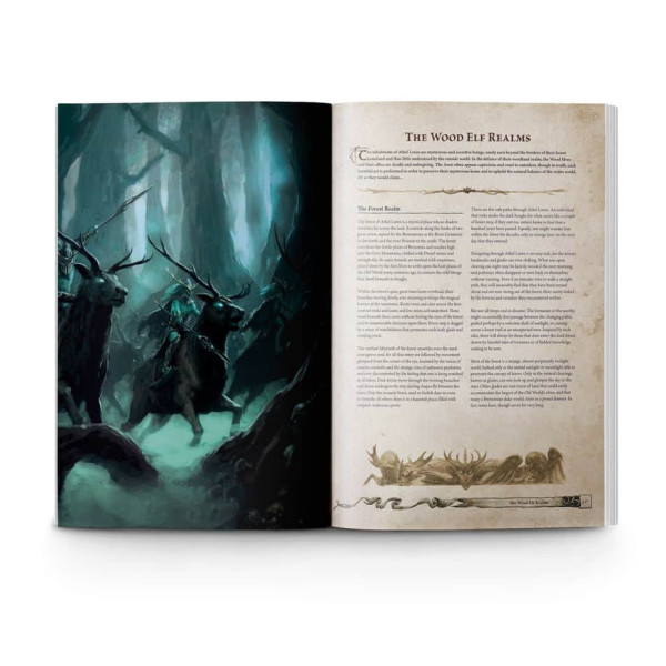 Warhammer : The Old Word – Strahlende Heere (Englisch)