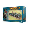 Goblin Wolf Rider Mob