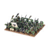 Mob der Orkkrieger