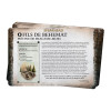 Pack de Faction : Fils de Behemat (Français)