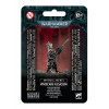 Vindicare Assassin