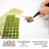 Tweezers Set The Amy Painter