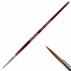 Hobby Brush : Highlighting The Amy Painter