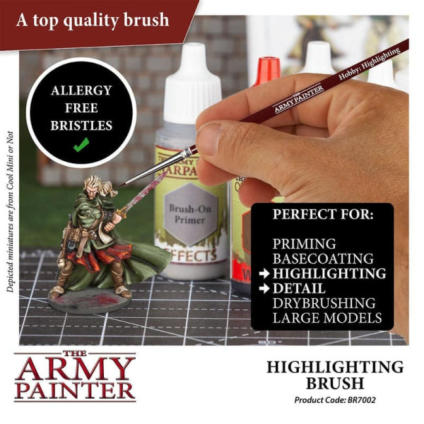 Hobby Brush : Highlighting The Amy Painter