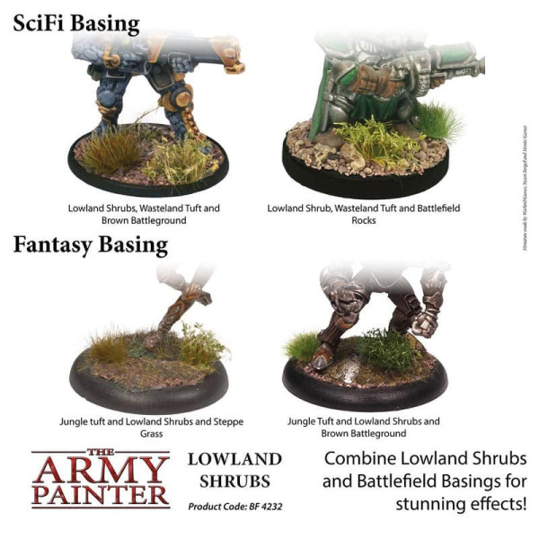 Lowland Shrubs Tuft The Amy Painter