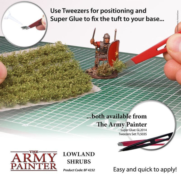 Lowland Shrubs Tuft The Amy Painter