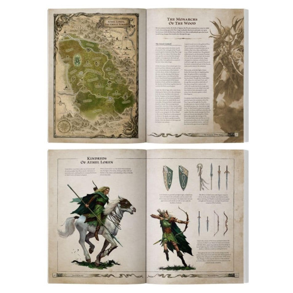 Arcane Journal : Wood Elf Realms (English)