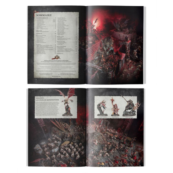 Tome de Bataille de la Mort : Flesh-eater Courts (Français)