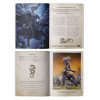 Arcane Journal : Dawn of the Storm Dragon (English)