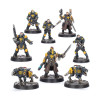 Palanite Enforcer Captains & Sergeants