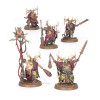 Pesticrates Putrides