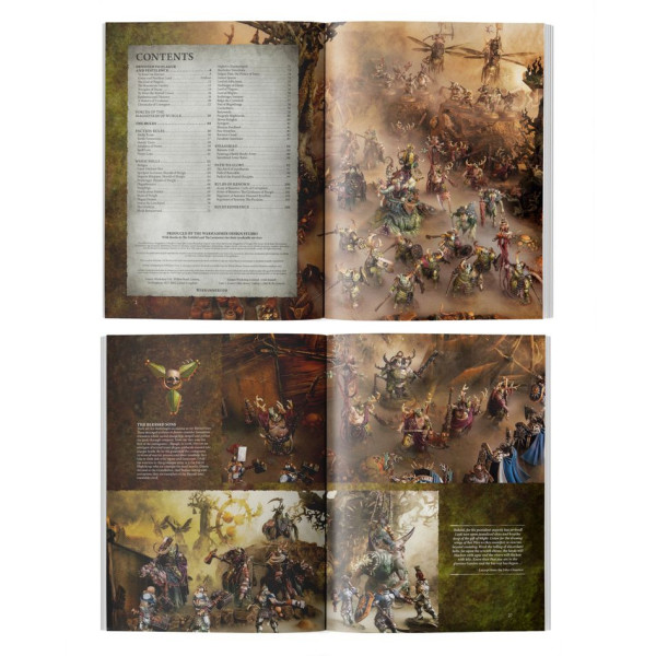 Chaos Battletome : Maggotkin of Nurgle (Anglais)
