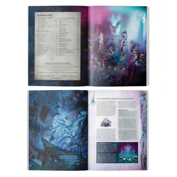 Tome de Bataille du Chaos : Disciples of Tzeentch (Französisch)