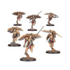 Venatari Sodality