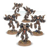 Rapaces / Serres du Warp