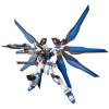 ZGMF-X20A Strike Freedom Gundam HG 1/144 - Gunpla